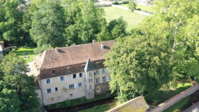 Chambres d'hôtes Château De Grunstein